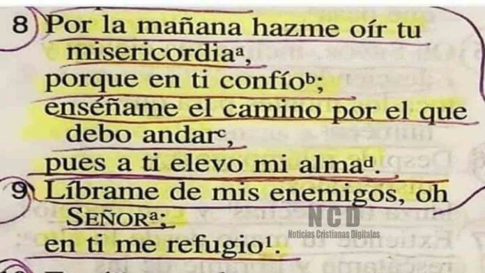 Oración para agradecer a Dios por un día de vida