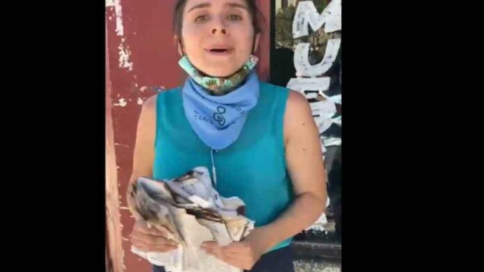 Joven cristiana evitó que feministas quemen una biblia en Chile